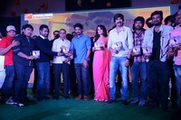 Patas Movie Audio Release
